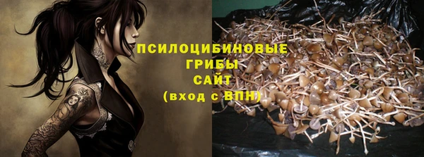 дмт Балахна
