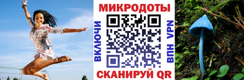 гидра как зайти  Армавир  Псилоцибиновые грибы мухоморы 